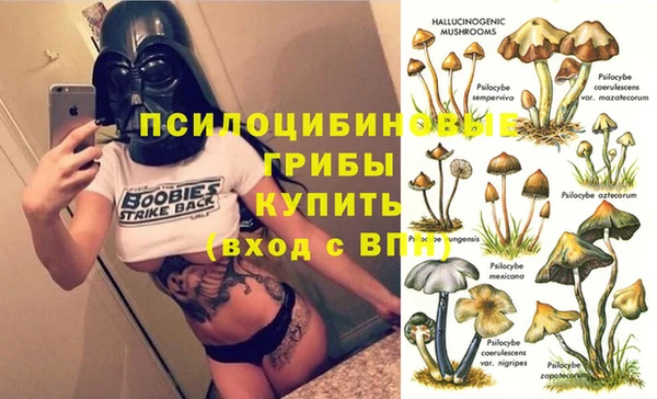 герыч Алзамай