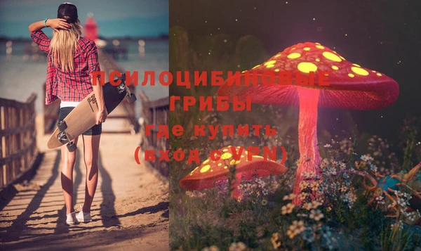 прущий лед Алексеевка
