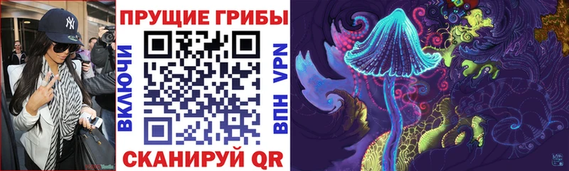 Псилоцибиновые грибы прущие грибы  Купить где  Суоярви 