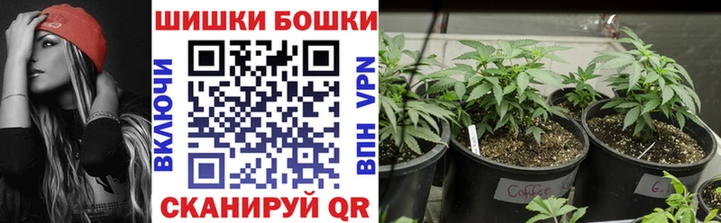 Бошки марихуана Amnesia  Купить  Суоярви 